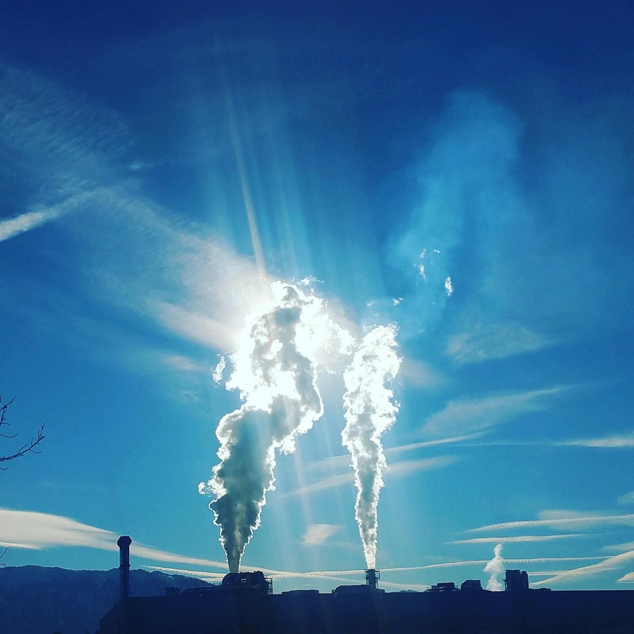 How Does Yelp Review for Yelp Impact Local Visibility and Trust?